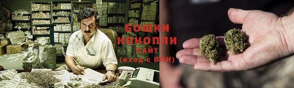 ешки Белокуриха