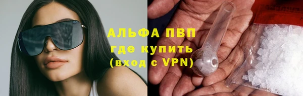 гашик Беломорск