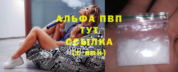 индика Ачинск