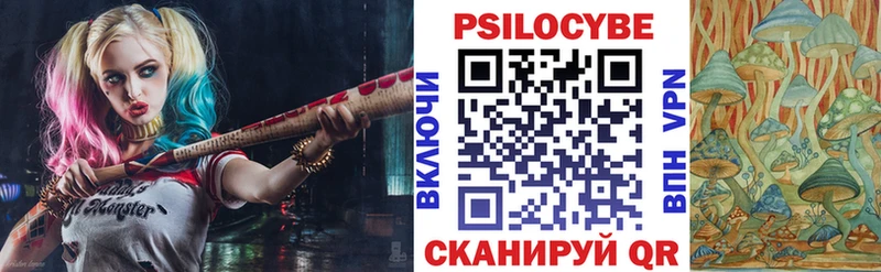наркотики  Богданович  Галлюциногенные грибы мицелий 